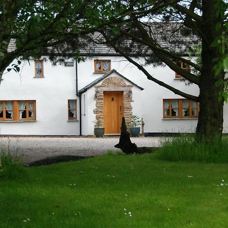 Armidale Cottages B&B ワーキントン エクステリア 写真