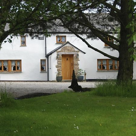Armidale Cottages B&B ワーキントン エクステリア 写真