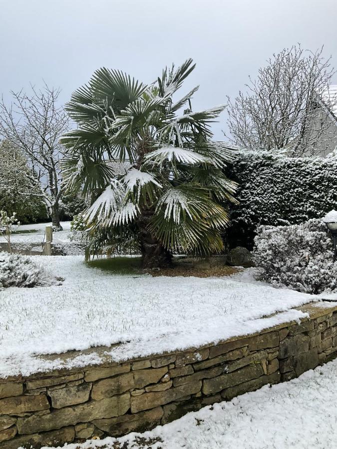 Armidale Cottages B&B ワーキントン エクステリア 写真